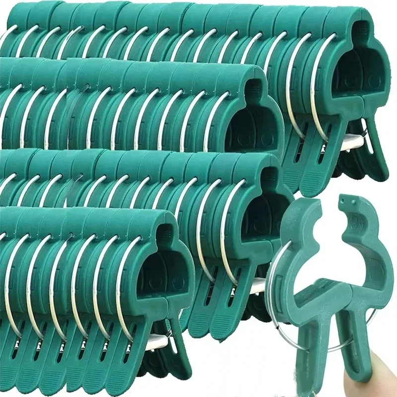 Vine Climbing Plastic - คลิปยึดต้นไม้แบบใช้ซ้ำได้ สำหรับสวนและเรือนกระจก ตัวหนีบสำหรับพืชเลื้อย ต้นไม้ ดอกไม้ มะเขือเทศ