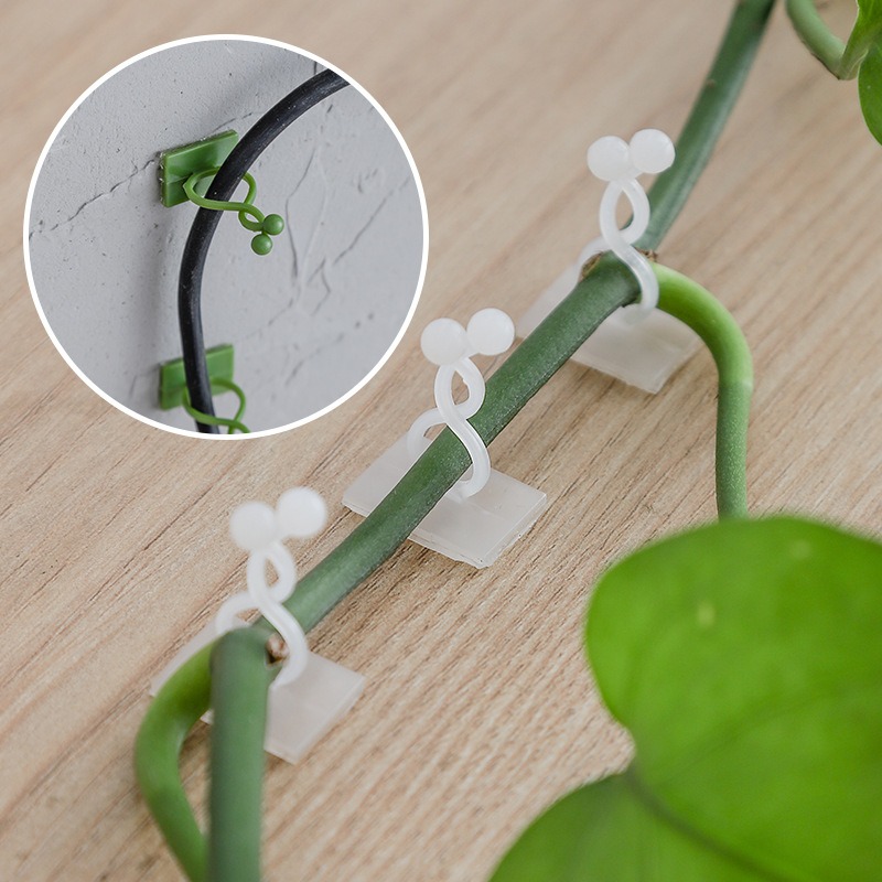 Vine Climbing Plastic - ตะขอแขวนต้นไม้ติดผนัง 10 ชิ้น อุปกรณ์ยึดต้นไม้เลื้อยอเนกประสงค์ สำหรับใช้ในบ้าน ตัวยึดโครงตาข่ายสำหรับต้นไม้สีเขียว