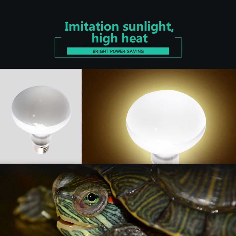 Basking Bulb Halogen - เครื่องควบคุมอุณหภูมิเต่า หลอดฮาโลเจน UVA สำหรับสัตว์เลื้อยคลาน หลอดไฟสำหรับอาบแดด