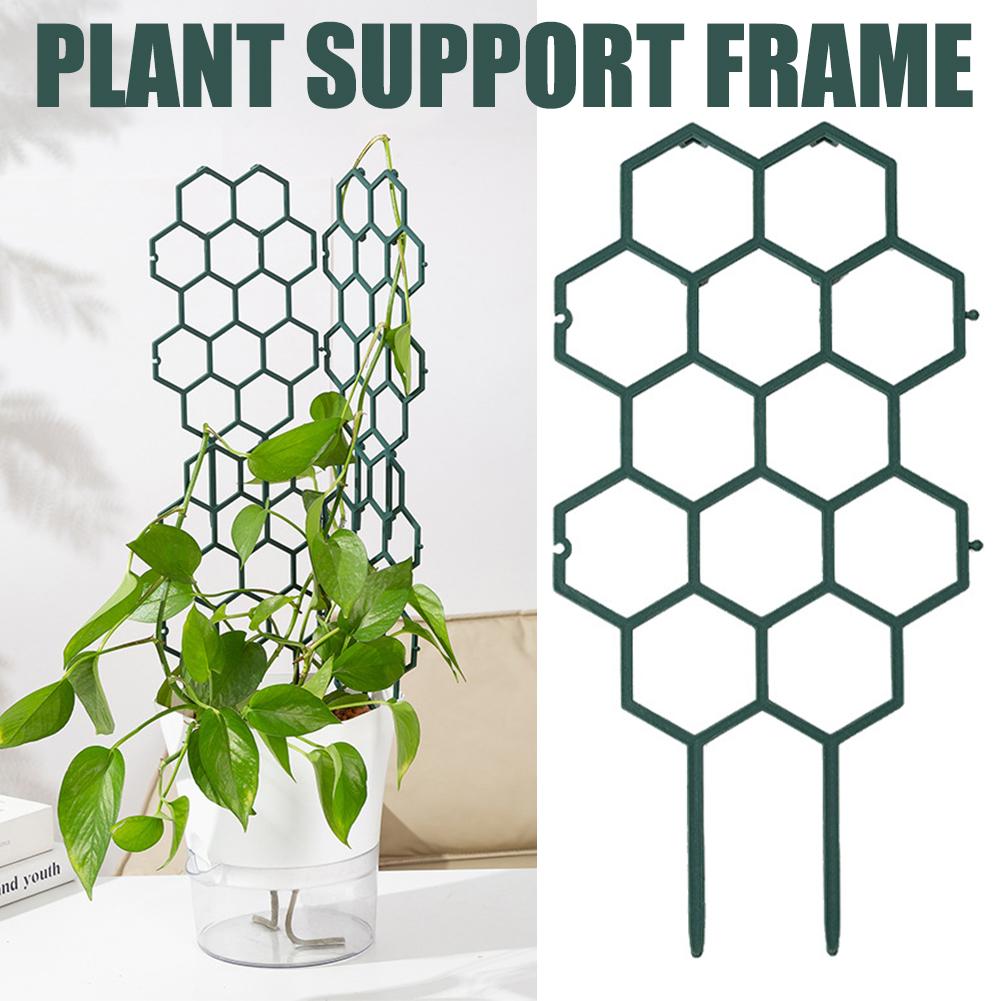 โครงพลาสติกสำหรับพยุงต้นไม้ 1/ - Vine Climbing Plastic บทวิจารณ์และราคา