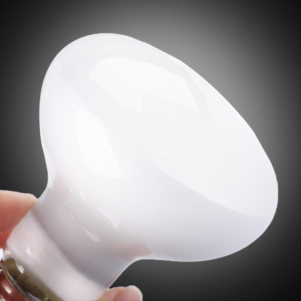 เครื่องควบคุมอุณหภูมิสำหรับสัต - Basking Bulb Halogen บทวิจารณ์และราคา