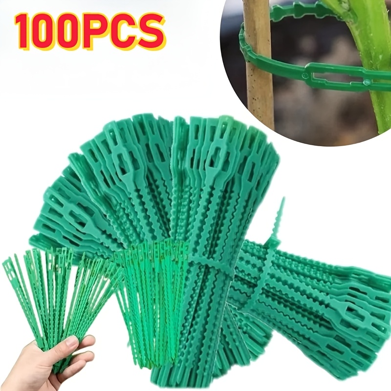 สายรัดต้นไม้แบบปรับได้ 100 ชิ้ - Vine Climbing Plastic บทวิจารณ์และราคา