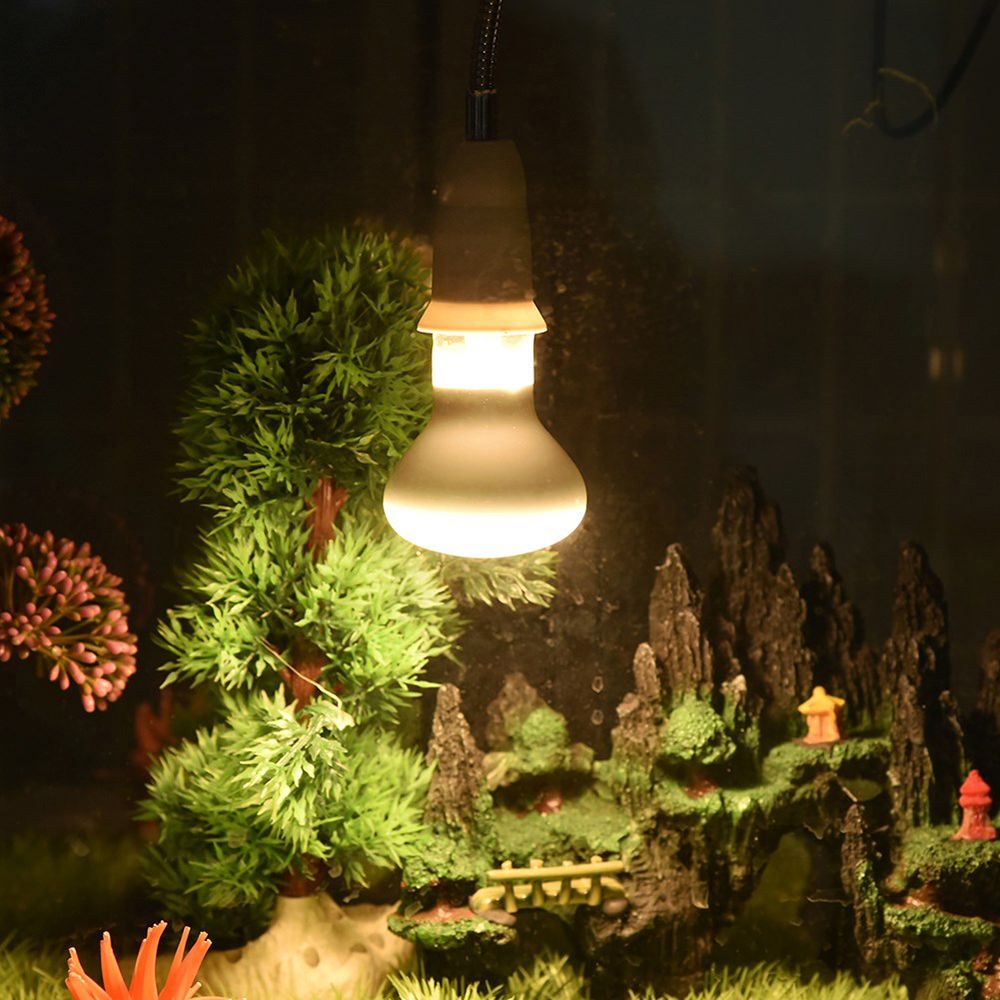 หลอดไฟควบคุมอุณหภูมิเต่า หลอดค - Basking Bulb Halogen บทวิจารณ์และราคา