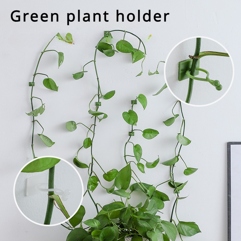 ตะขอแขวนต้นไม้ติดผนัง 10 ชิ้น  - Vine Climbing Plastic บทวิจารณ์และราคา