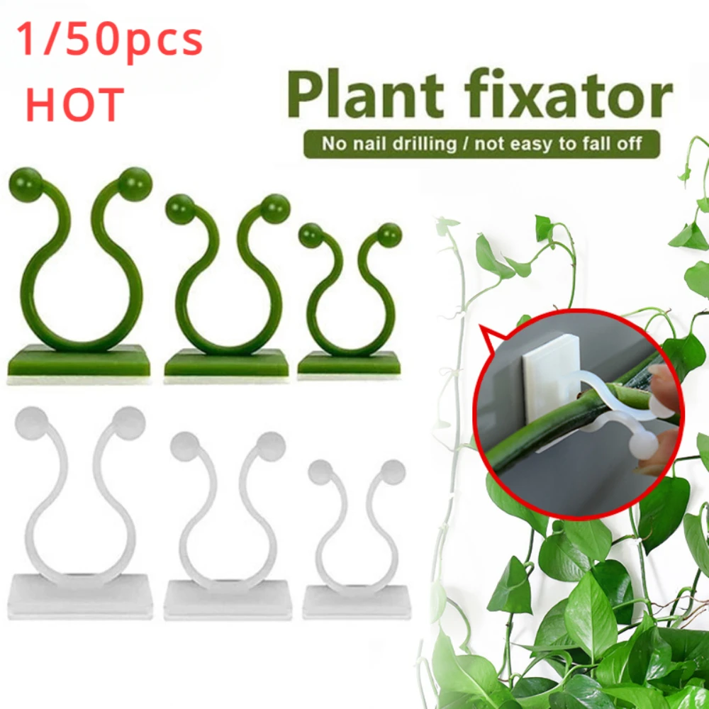 1/30/50 ชิ้นสําหรับอุปกรณ์สวนพ - Vine Climbing Plastic บทวิจารณ์และราคา