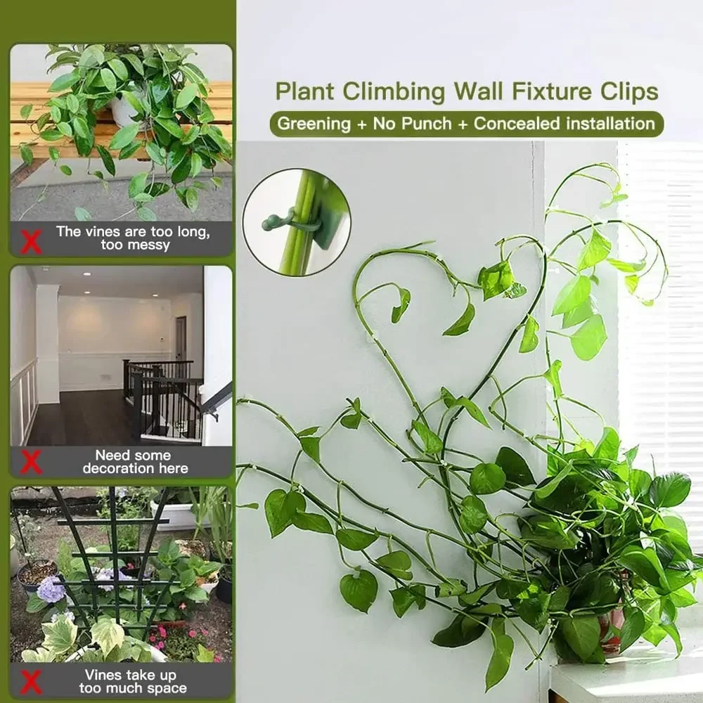 1/30/50 ชิ้นสําหรับอุปกรณ์สวนพ - Vine Climbing Plastic บทวิจารณ์และราคา