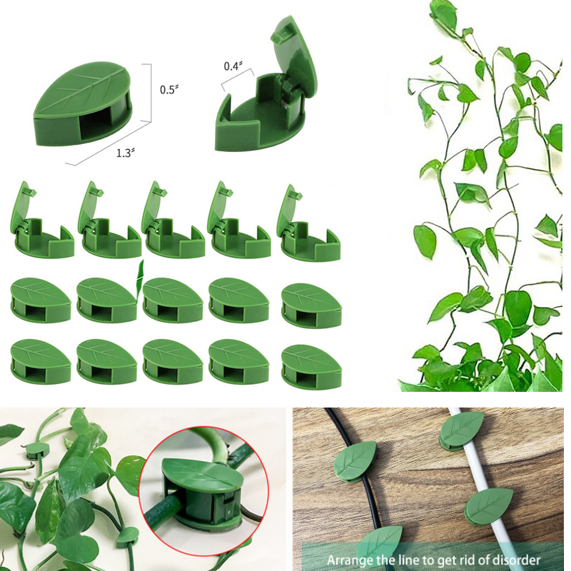 พืชที่มองไม่เห็นปีนเขา Wall FI - Vine Climbing Plastic บทวิจารณ์และราคา