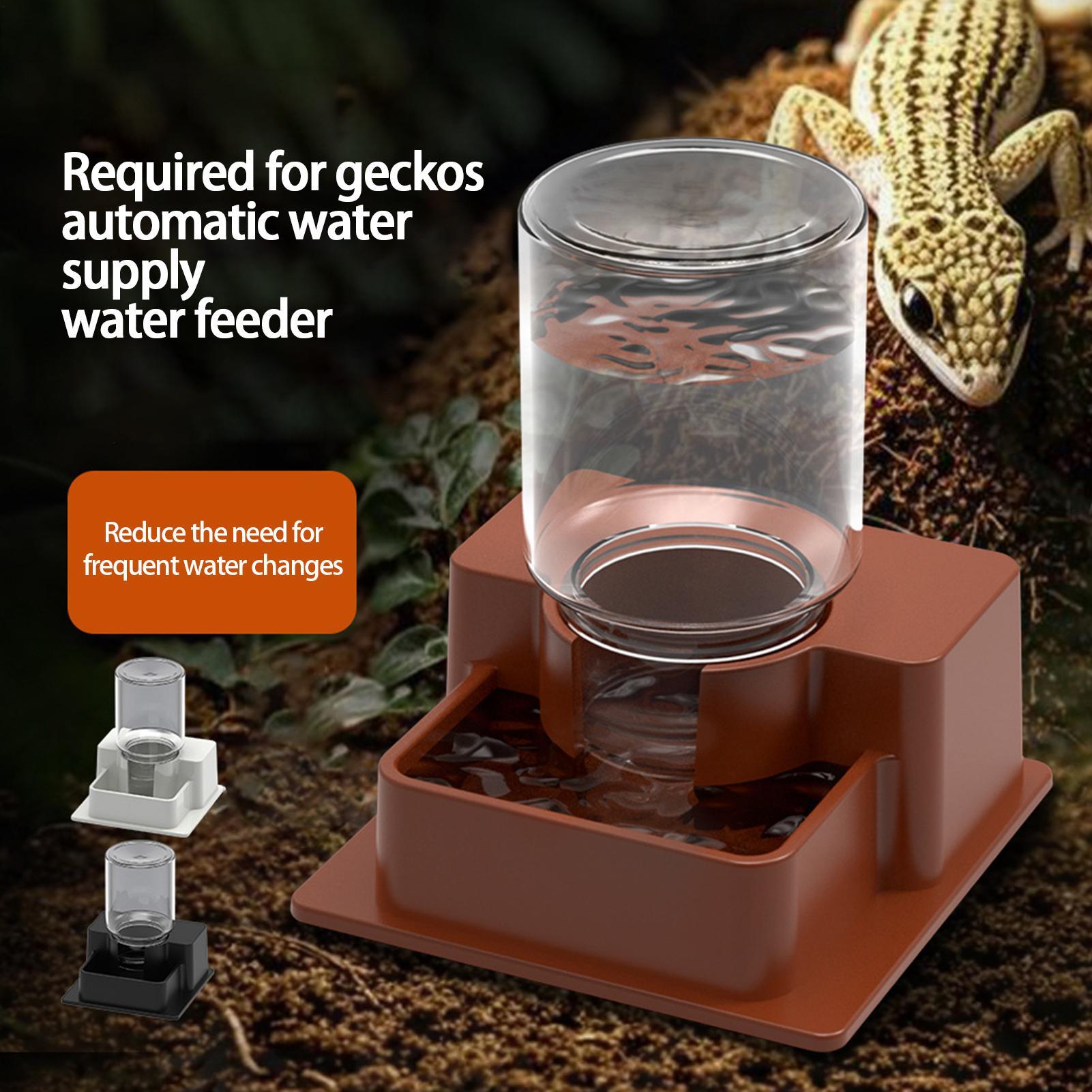 เครื่องให้อาหารสัตว์เลื้อยคลาน - Water Dish Reptile บทวิจารณ์และราคา