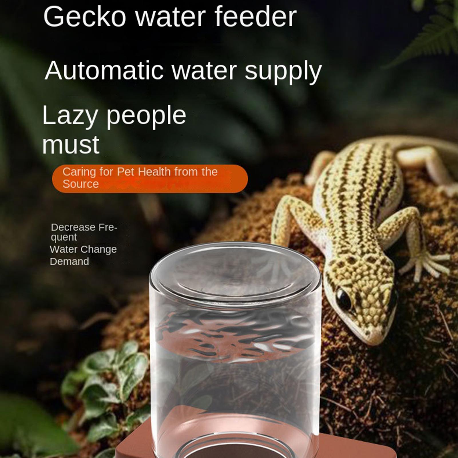 เครื่องให้อาหารสัตว์เลื้อยคลาน - Water Dish Reptile บทวิจารณ์และราคา